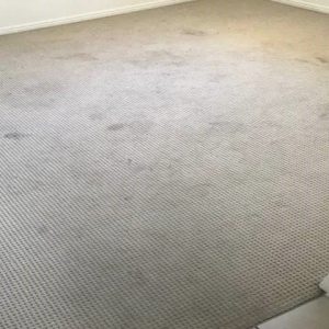 Before Carpet & Upholstery Cleaning