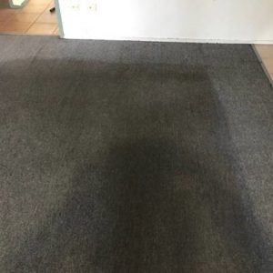 Stained Carpet & Upholstery Cleaning