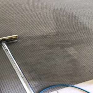 Heavily Stained Carpet Restoration