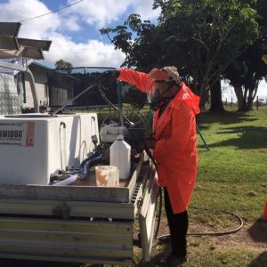 Pest & Insect Management Yeppoon